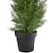 2ft. Unlit Artificial Cedar Pine Petite Arborvitae Tree in Round Pot